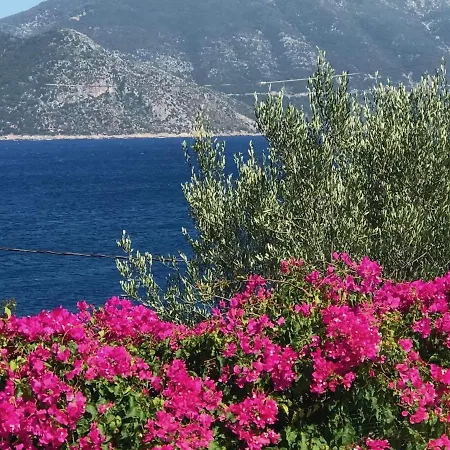 Apartment Manona's *