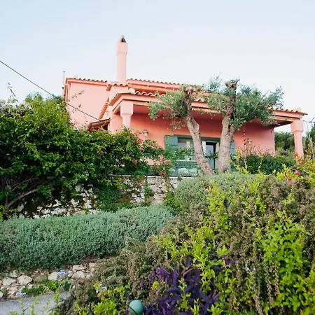 Manona's 费斯卡尔德宏