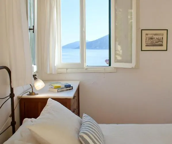 Manona's 费斯卡尔德宏