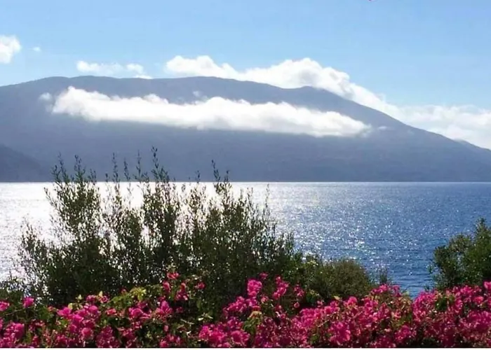 Manona's * 费斯卡尔德宏